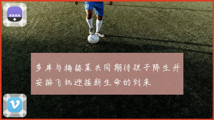 多库与梅赫莱共同期待孩子降生并安排飞机迎接新生命的到来